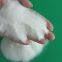 Chinese manufacturers High Purity White Color Silica Gel Sand for Oil Refinery Decoloration