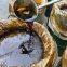 Squid Liver paste