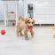 Squeaky ball
