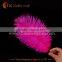 wholesale cheap ostrich feather for wedding decoration centerpiece