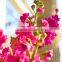 High grade new arrival transparent violet red purple