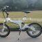 Folding e-bike/folded Ebike/electric bike/ popular fold bike