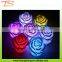 Rose night light fantastic