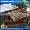 Frozen argentina squid price for tuna fishing