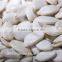 Wholesale Pumpkin Seeds, Pumpkin Kernels, Hulled Pumpkin Seeds Best Price