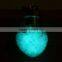 Glow In The Dark Necklace with Fairy, Fantasy Glowing Jewerly wishing bottle necklace