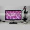 MSL-PH50-4 40x-1600x Binocular Biological Microscope/Binocular Microscope Suitable for Hospitals, Schools, Laboratories