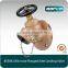 BS5041Bonze Bib Nose 2.5" Fire Hydrant Landing Valve