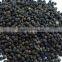 VIETNAM BLACK PEPPER