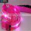Led dog collars and leash