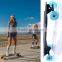 China manufacture cheap off road watt motor remote control electric skateboard 800w