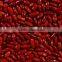 We are supply kidney beans, Dark red kidney beans for sale