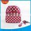 New Design MultiFunction Mini Cooler Bag in Europe Market
