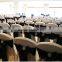Popular Satin Chair Sashes For Wedding Hotel