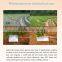 fertilizers for root fertilizer benefits root