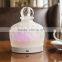 Battery-powered Fan electric aroma diffuser,usb essential oil diffuser ,mini fan aromatherapy diffuser with 1 year warranty