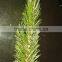 PVC Artificial Pine Needle( All Type,Size and Requirement Can Meet )