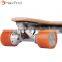 Worldwide distributors Newest Electric skateboard /longboard with double electric motor