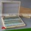 School Student Study Laboratory Botany Prepared Microslides algae Individual microscope prepared slide