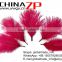 CHINAZP No.1 Supplier in China Factory Exporting Wholesale Dyed Pale Violet Red from 6inch to 8inch Ostrich Feathers