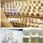 6w 610LM led filament bulb,360degree/b22/E27 A60 led filament lamp