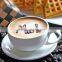 High quality foaming agent cappuccino coffee creamer