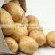 2016 new crop Fresh potatoes