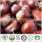 Organic Chinese Snacks Food, organic Chestnut Snacks, ready to eat snacks