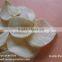 Popular Natural Garlic Flakes Without Root Best Price for Garlic