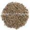 Cumin seeds
