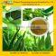 Professional GMP Factory Supply Natural Aloe Vera Extract