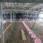 Hot sale chicken farming equipment/High quality automatic pan feeding system