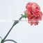 high quality wholesale single fresh carnation real flower