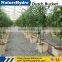 Factory price Food-Grade Dutch Bucket For Hydroponic Systems