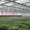 hot sellIntelligent  Greenhouse&agricultural Greenhouse