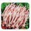 gold premier supplier easy operation stainless steel chicken feet peeling machine