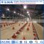 UAE Low Cost and Long Live Steel Frame Poultry Farm House