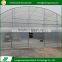High quality tunnel steel structure plastic aquaponic greenhouse