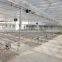 Polycarbonate sheet cover agricultural greenhouse PC Sheet Covered greenhouse
