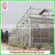 Commercial Steel Frame Venlo Polycarbonate Greenhouses for Sale