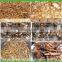 Chicken Feed Dried Mealworm, Wild Bird Food Mealworm