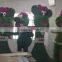 fake grass animal high color fastness Meadow green artificial grass topiary