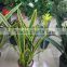 SJ GN 56 artificial Sansevieria plants