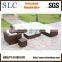 Rattan Furniture China (SC-B6018)