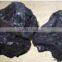 Asphaltum Extract