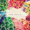VIBRANT AND COLORFUL CROP TOP PALAZZO PANT COMBOS