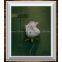 Flower Realism Oil Painting Wall Art
