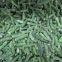 Frozen Green Bean Cut