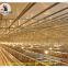 Guinea Poultry Farming Battery Chicken Cage & Layer Cage & Chicken Coop & Hen Coop & Laying Hen Cage in Chicken House