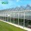 Commercial Agricultural Glass Greenhouse With Low Price
